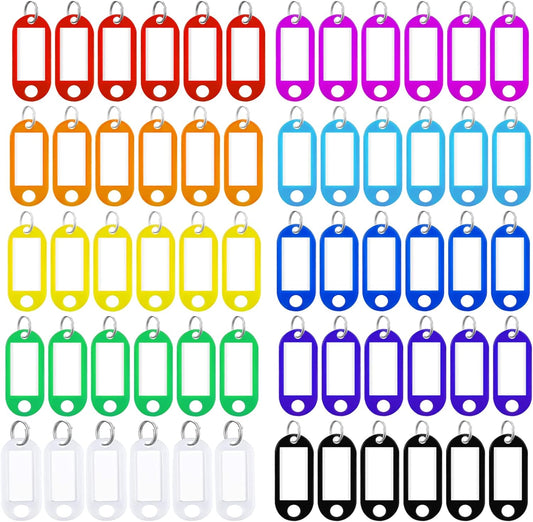 60 Pcs Key Tags with Labels, Tough Plastic Key Tags with Split Ring Label Window with Split Ring Assorted V1259-DP01-A-3457