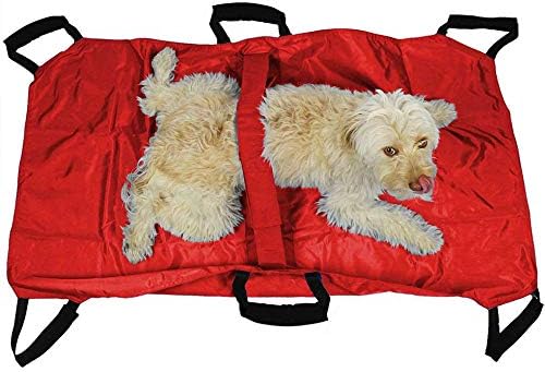 Transport Stretcher for Dogs - Emergency Animal Carrier with Safety Strap - 250 Pound Weight Limit - Pet V1259-DP01-A-3506