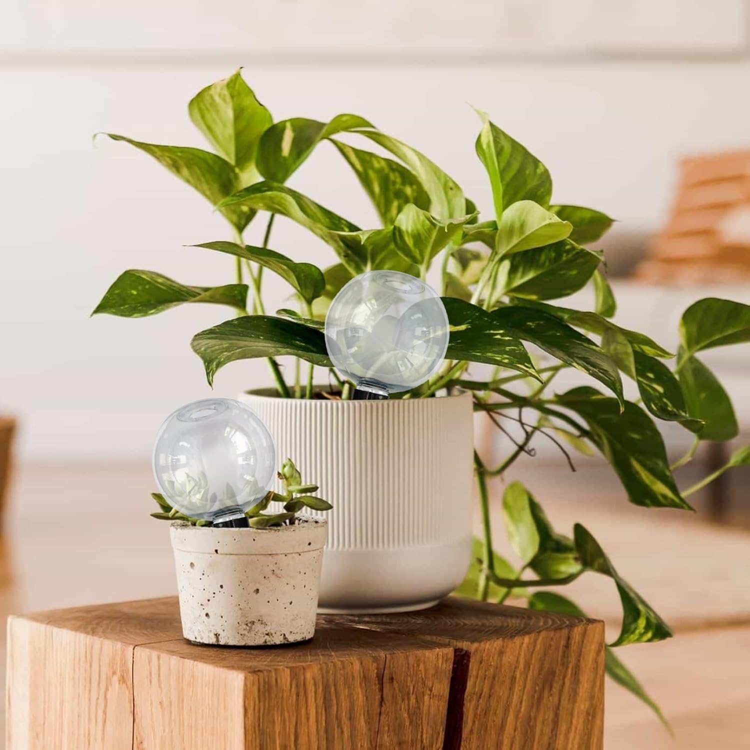 3PCS Plant Watering Globes, 500ml Self Watering Planter Insert, Transparent Plant Irrigation Devices for V1259-DP01-A-3542