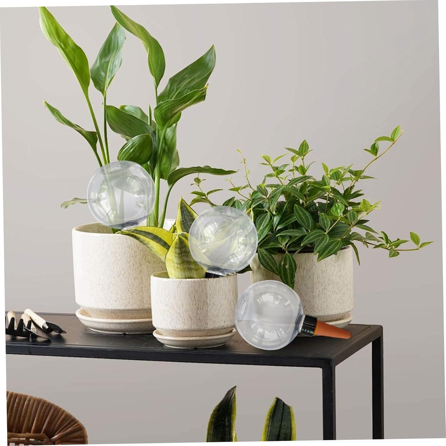 3PCS Plant Watering Globes, 500ml Self Watering Planter Insert, Transparent Plant Irrigation Devices for V1259-DP01-A-3542