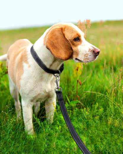 6FT Reflective Dog Leash with Soft Padded Handle for Training,Walking Lead for Large & Medium Dog,1 Inch V1259-DP01-A-3615