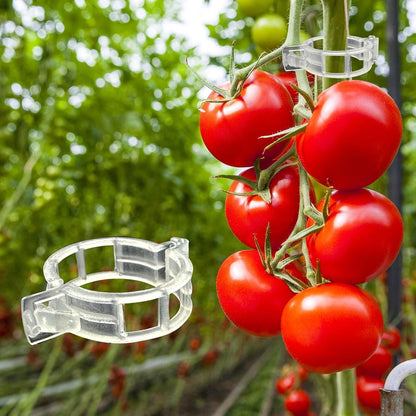 Plastic Plant Clips Essential Garden Tools, Plant Support Clips Tomato Grape Vine Vegetables Plant Fixing V1259-DP01-A-3629