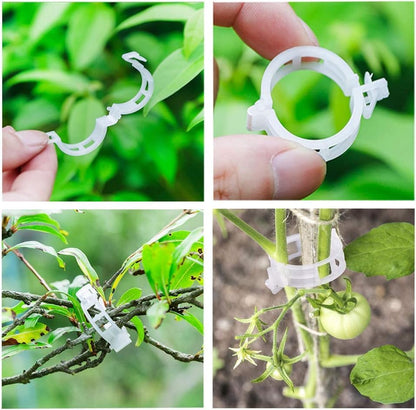 Plastic Plant Clips Essential Garden Tools, Plant Support Clips Tomato Grape Vine Vegetables Plant Fixing V1259-DP01-A-3629