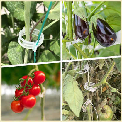 Plastic Plant Clips Essential Garden Tools, Plant Support Clips Tomato Grape Vine Vegetables Plant Fixing V1259-DP01-A-3629