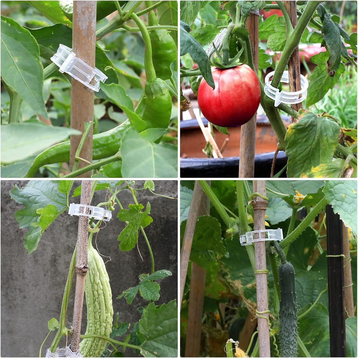 Plastic Plant Clips Essential Garden Tools, Plant Support Clips Tomato Grape Vine Vegetables Plant Fixing V1259-DP01-A-3629