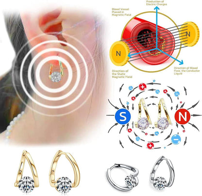 Flysmus Halolux Lymphatic Magnetic Earrings (2pairs-B) V1259-DP01-A-4127