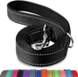 Dog Leash, 6 FT Double-Sided Reflective, Padded Handle Nylon Heavy Duty Leashes for Medium & Large Dogs V1259-DP01-A-4620