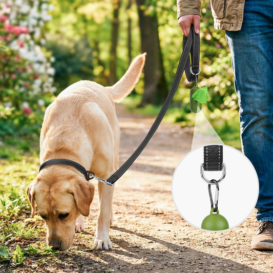 Dog Leash, 6 FT Double-Sided Reflective, Padded Handle Nylon Heavy Duty Leashes for Medium & Large Dogs V1259-DP01-A-4620