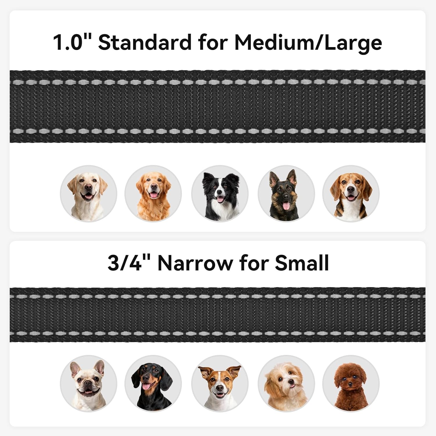 Dog Leash, 6 FT Double-Sided Reflective, Padded Handle Nylon Heavy Duty Leashes for Medium & Large Dogs V1259-DP01-A-4620
