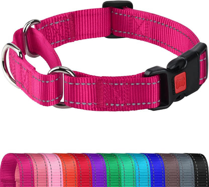 Martingale Collar for Dogs, Reflective Heavy Duty Safety, Quick Release Buckle, Adjustable Nylon Collars V1259-DP01-A-4624