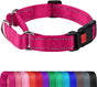 Martingale Collar for Dogs, Reflective Heavy Duty Safety, Quick Release Buckle, Adjustable Nylon Collars V1259-DP01-A-4624