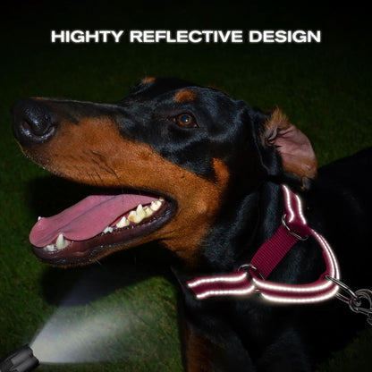 Martingale Collar for Dogs, Reflective Heavy Duty Safety, Quick Release Buckle, Adjustable Nylon Collars V1259-DP01-A-4624