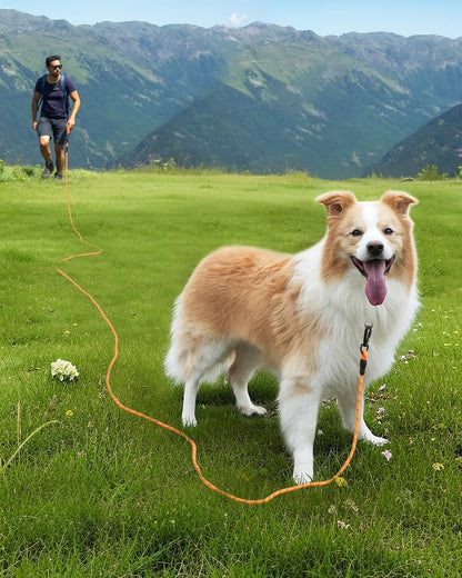 Long Leash for Dog with Removable Padded Handle, Heavy Duty Lead Large Medium Dogs, Reflective Training Play, V1259-DP01-A-4627