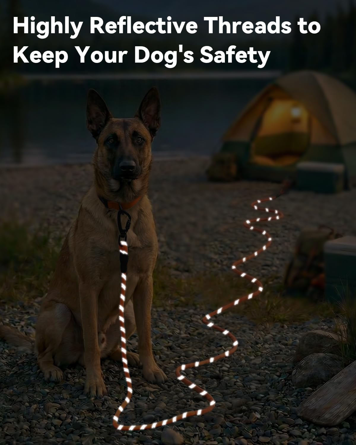Long Leash for Dog with Removable Padded Handle, Heavy Duty Lead Large Medium Dogs, Reflective Training Play, V1259-DP01-A-4627