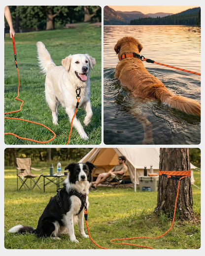 Long Leash for Dog with Removable Padded Handle, Heavy Duty Lead Large Medium Dogs, Reflective Training Play, V1259-DP01-A-4627