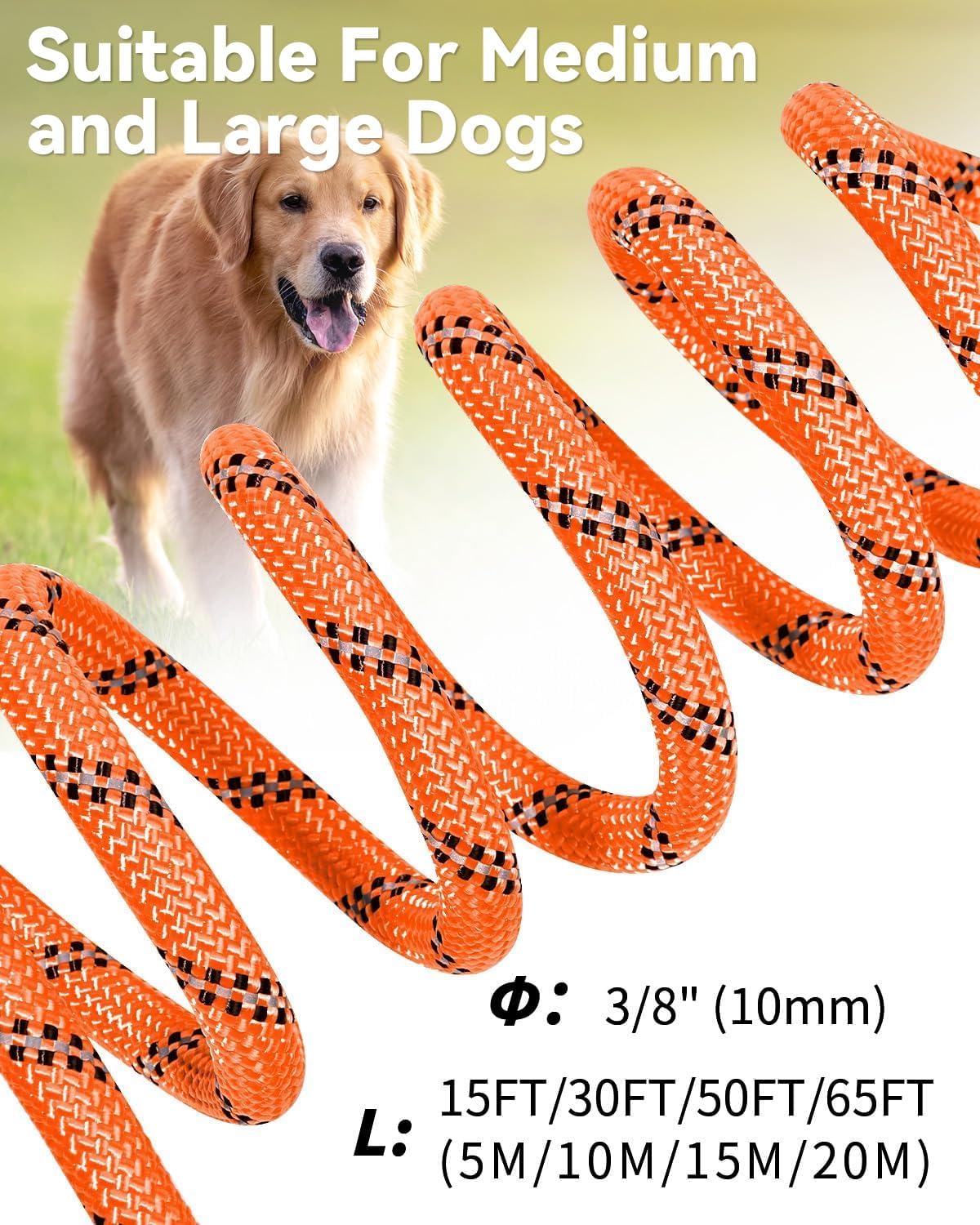 Long Leash for Dog with Removable Padded Handle, Heavy Duty Lead Large Medium Dogs, Reflective Training Play, V1259-DP01-A-4627