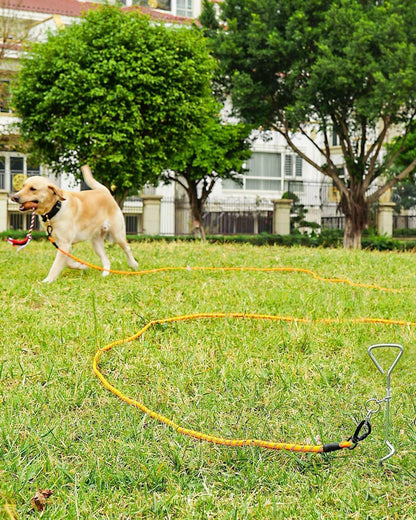 Long Leash for Dog with Removable Padded Handle, Heavy Duty Lead Large Medium Dogs, Reflective Training Play, V1259-DP01-A-4627