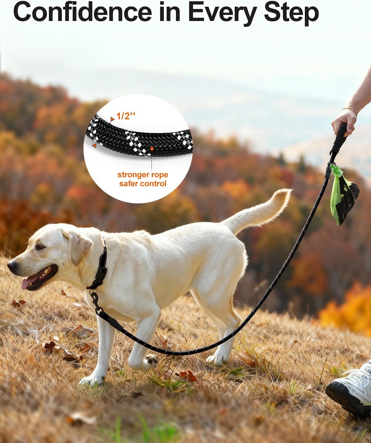 Dog Leash for Large Dogs, Heavy Duty Nylon Leashes with Comfortable Padded Handle and Highly Reflective V1259-DP01-A-4628