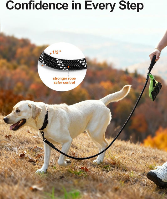 Dog Leash for Large Dogs, Heavy Duty Nylon Leashes with Comfortable Padded Handle and Highly Reflective V1259-DP01-A-4628