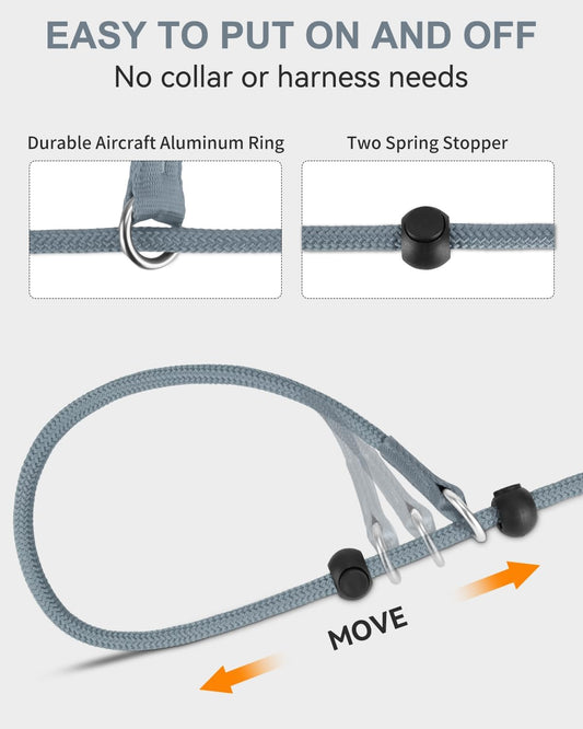Tangle-Free Slip Leads for Dogs, 6 FT Leash with Padded Double Handle, Reflective Nylon Training Small Medium V1259-DP01-A-4632