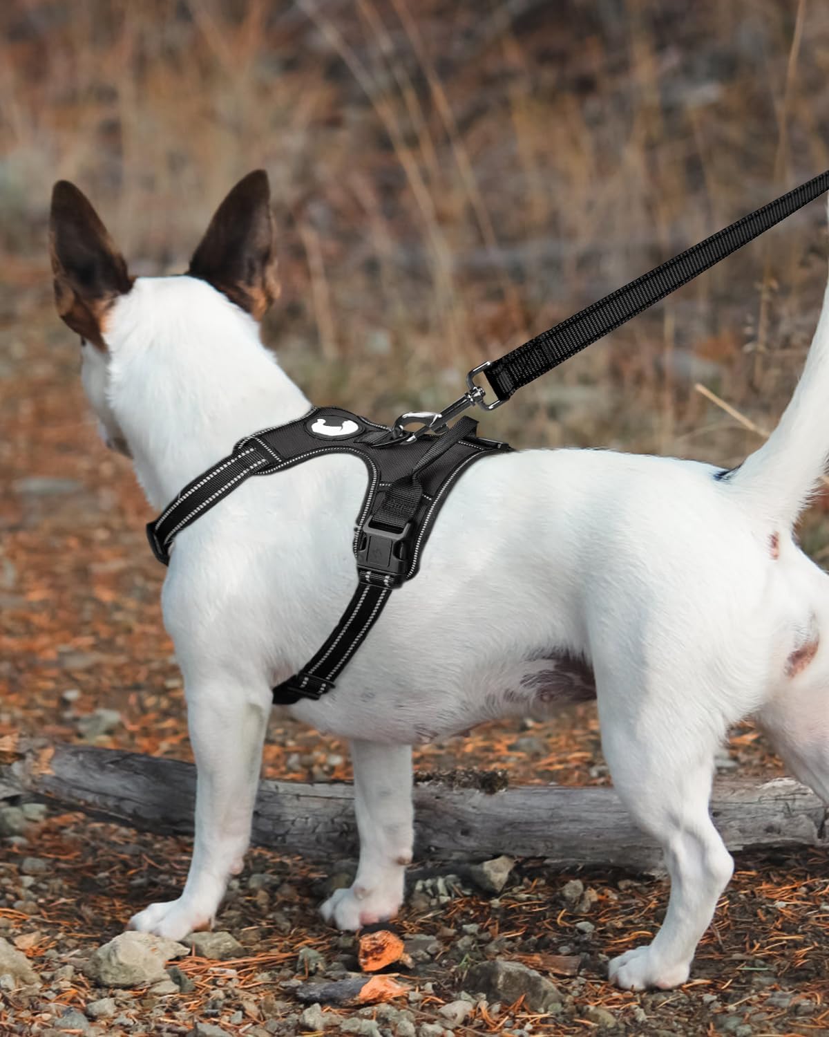 6FT x 1'' Dog Leash and Collar (18-28"), Reflective Soft Neoprene Padded Pet Collars Leashes for Extra Large V1259-DP01-A-4633