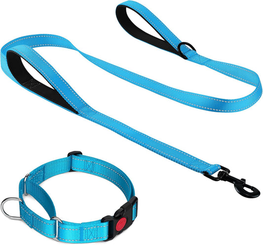 Martingale Dog Collar(12.5-16''), 6FT Double Handle Leash for Training, Sky Blue - V1259-DP01-A-4634