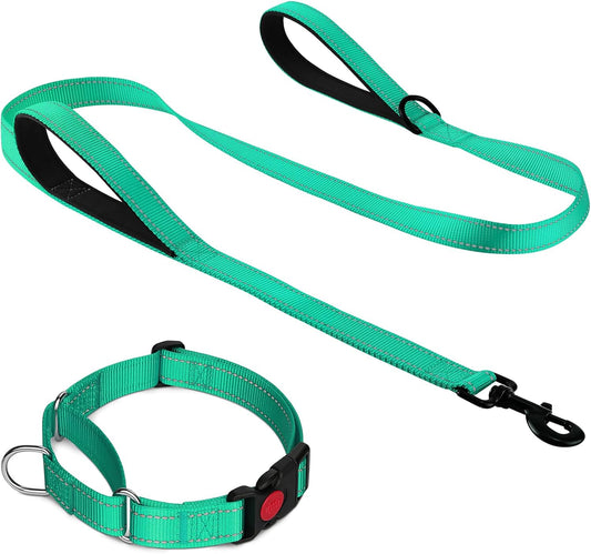Martingale Dog Collar(12.5-16''), 6FT Double Handle Leash for Training, Teal - V1259-DP01-A-4635
