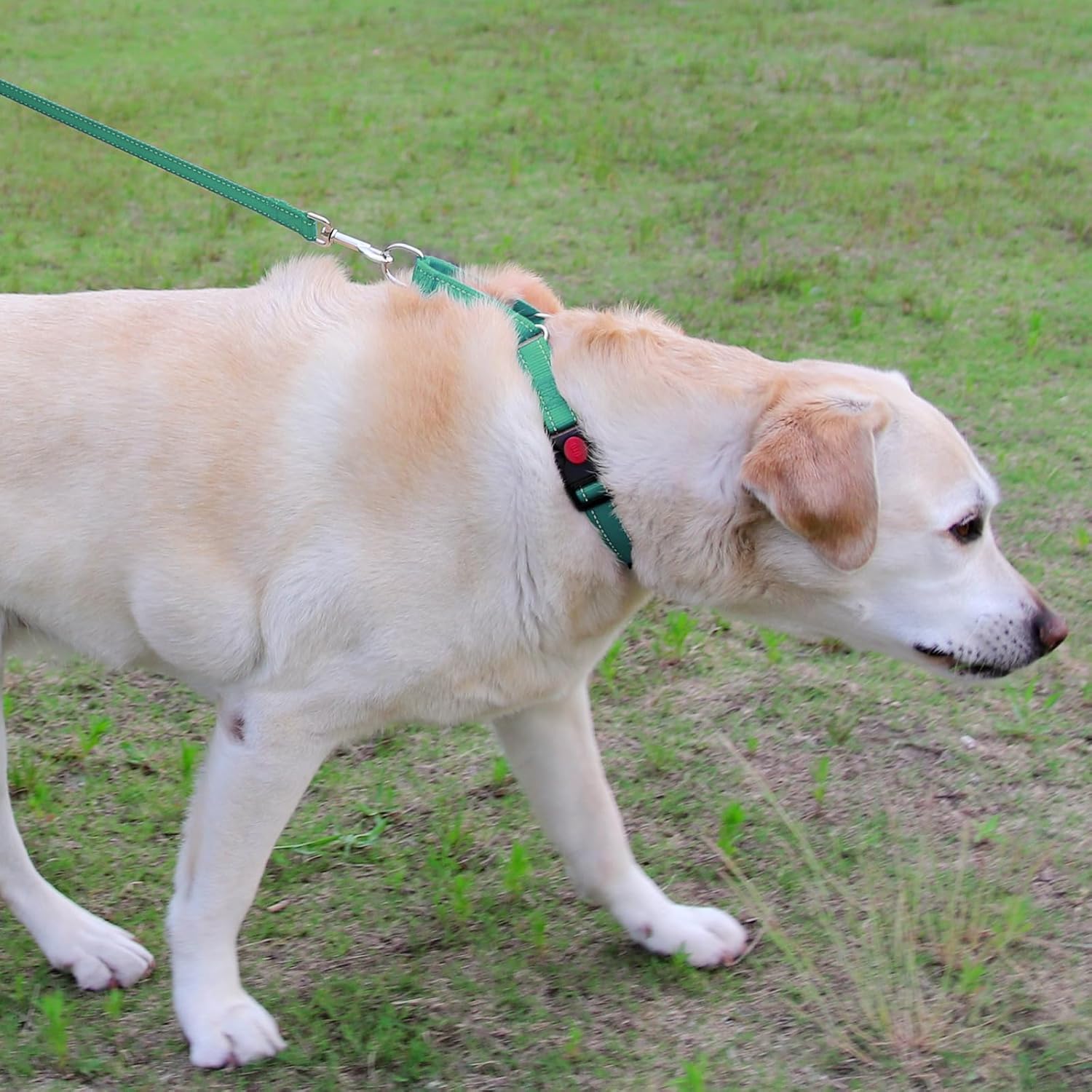 Martingale Dog Collar(12.5-16''), 6FT Double Handle Leash for Training, Teal - V1259-DP01-A-4635