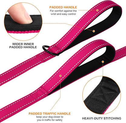 Martingale Dog Collar(16-20"), 6FT Double Handle Leash for Training, Hotpink - V1259-DP01-A-4637