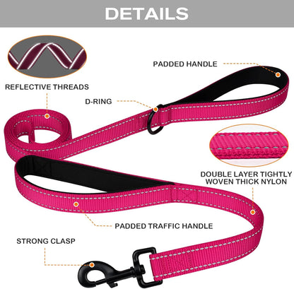 Martingale Dog Collar(16-20"), 6FT Double Handle Leash for Training, Hotpink - V1259-DP01-A-4637