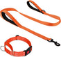Martingale Dog Collar(16-20"), 6FT Double Handle Leash for Training, Orange - V1259-DP01-A-4638