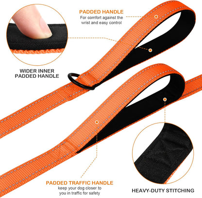 Martingale Dog Collar(16-20"), 6FT Double Handle Leash for Training, Orange - V1259-DP01-A-4638
