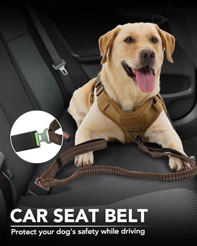 Tactical Dog Collar(17"-21") and Leash Set, Shock Absorbing Bungee Adjustable Strong Collar with Handle for V1259-DP01-A-4641