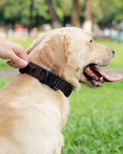 Tactical Dog Collar(17"-21") and Leash Set, Shock Absorbing Bungee Adjustable Strong Collar with Handle for V1259-DP01-A-4641