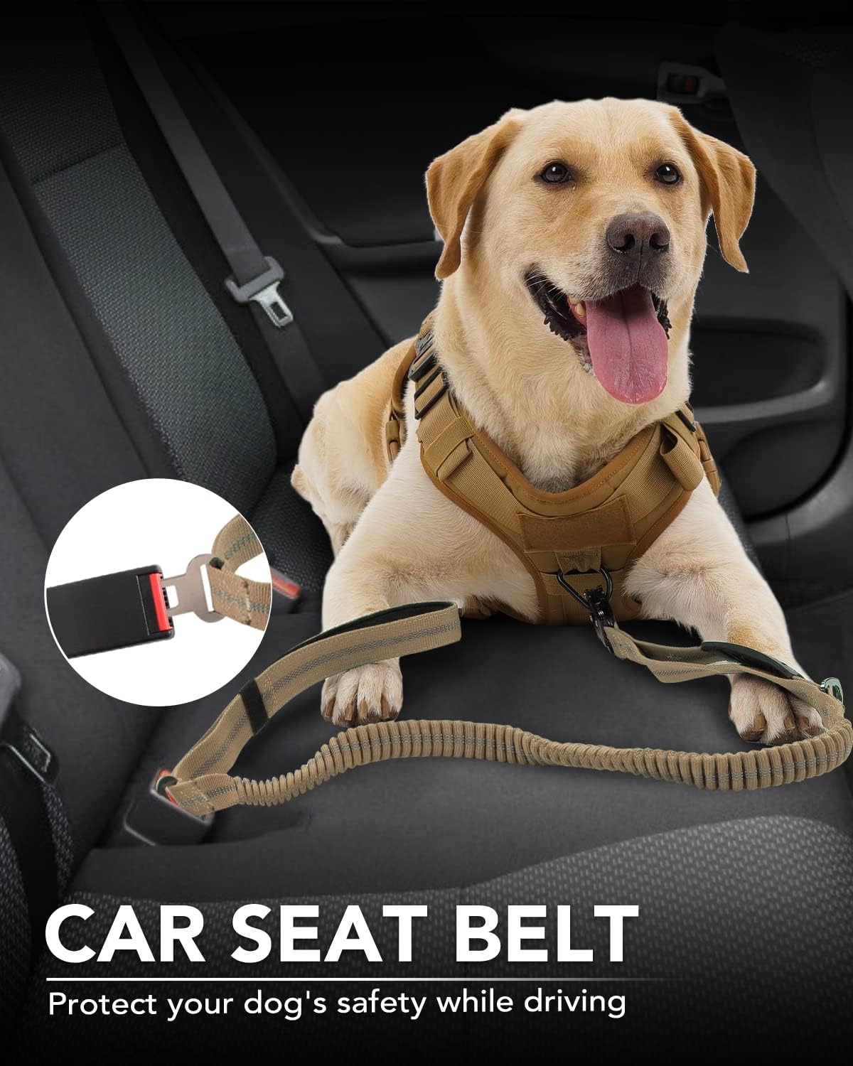 Tactical Dog Collar(17"-21") and Leash Set, Shock Absorbing Bungee Adjustable Strong Collar with Handle for V1259-DP01-A-4642