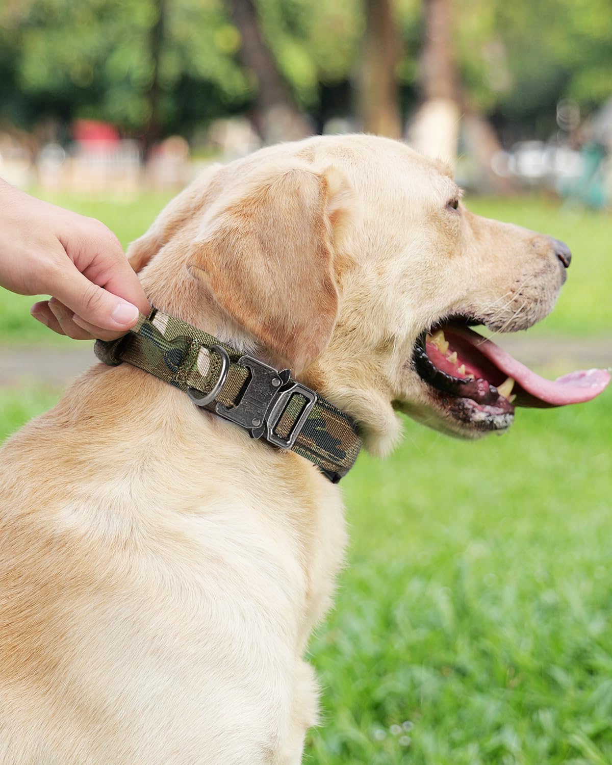 Tactical Dog Collar(17"-21") and Leash Set, Shock Absorbing Bungee Adjustable Strong Collar with Handle for V1259-DP01-A-4642