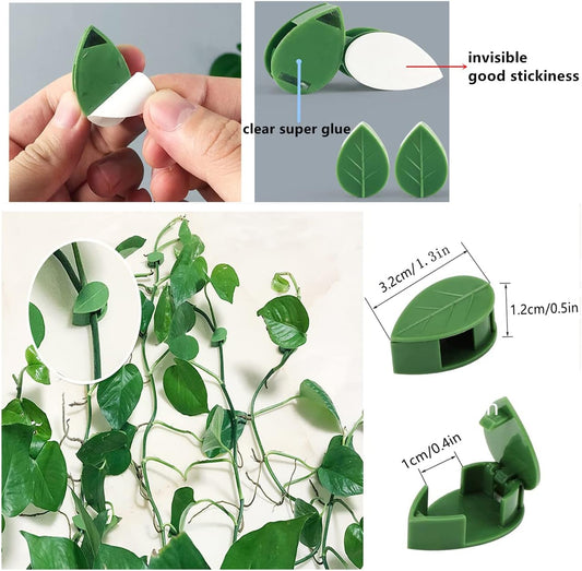 60 Pcs Plant Climbing Wall Fixture Clips Acrylic Self-Adhesive Sticker Fixer Vine Traction Invisible Holder V1259-DP01-A-5504