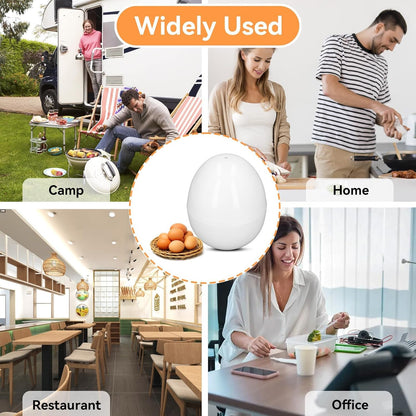 Microwave Egg Cooker, Hard Boiled 4 Capacity Boiler Steamer Poacher Microwavable with Lid for Cooking Kitchen V1259-DP01-A-829