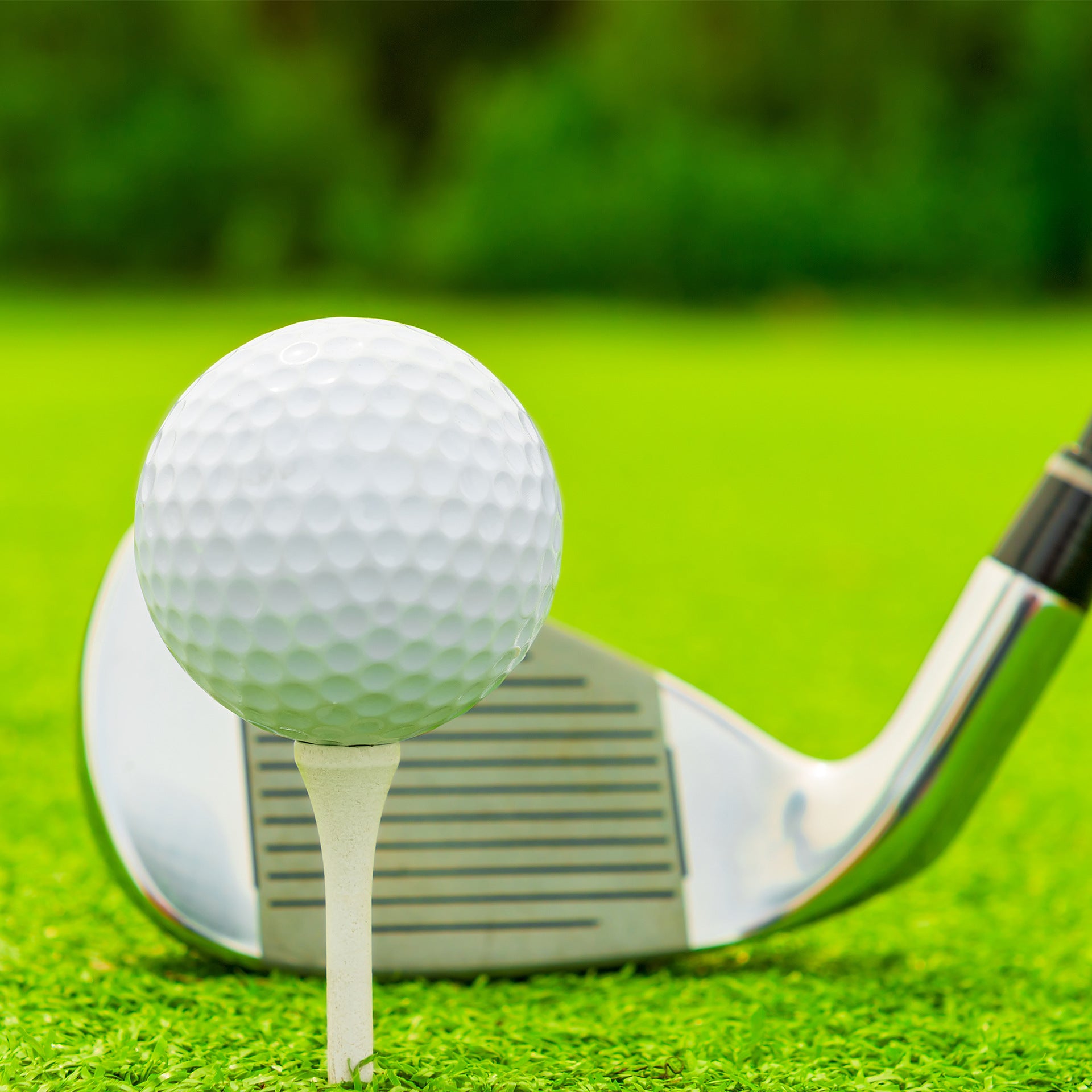 Golf Tees - Wit - Wooden - 50 Pins V1259-DP01-BO-69