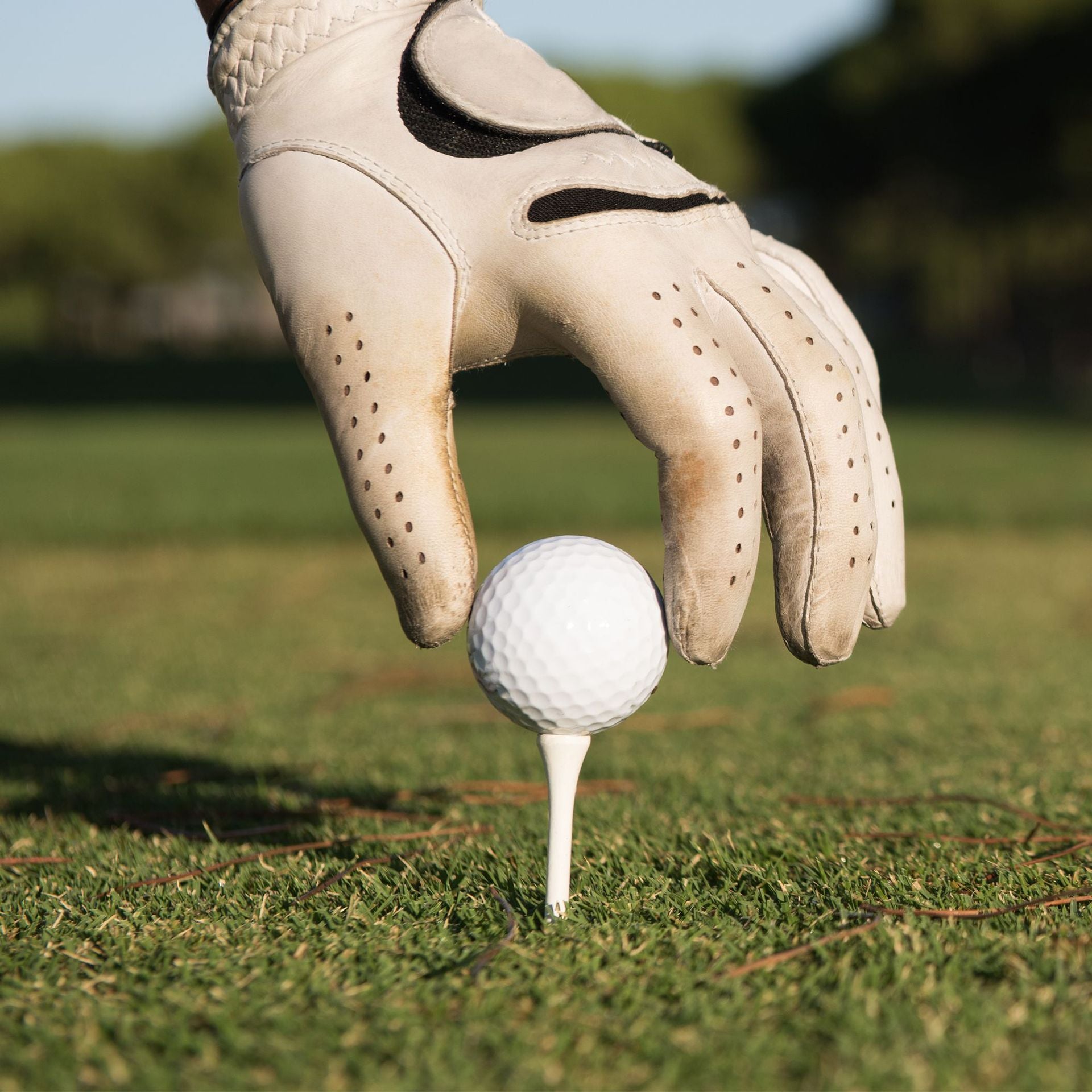 Golf Tees - Wit - Wooden - 50 Pins V1259-DP01-BO-69