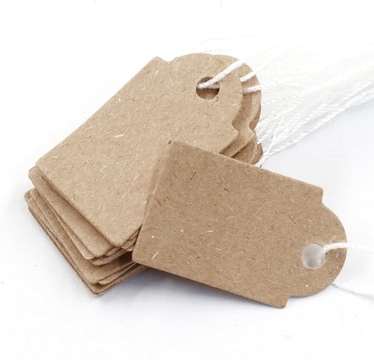 Biaungdo 200 Pcs Brown Price Tags with String Attached, 15x25mm/0.59x1inch Small Writable Label Tags Kraft V1259-DP01-D-97