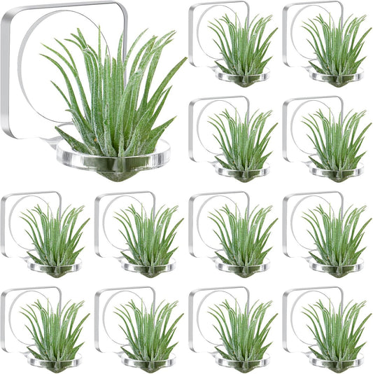 12 Pcs Acrylic Air Plants Holder Hanger with Mounting Tape or Hanging Air Plants on Glass Display Home V1259-DP01-E-455