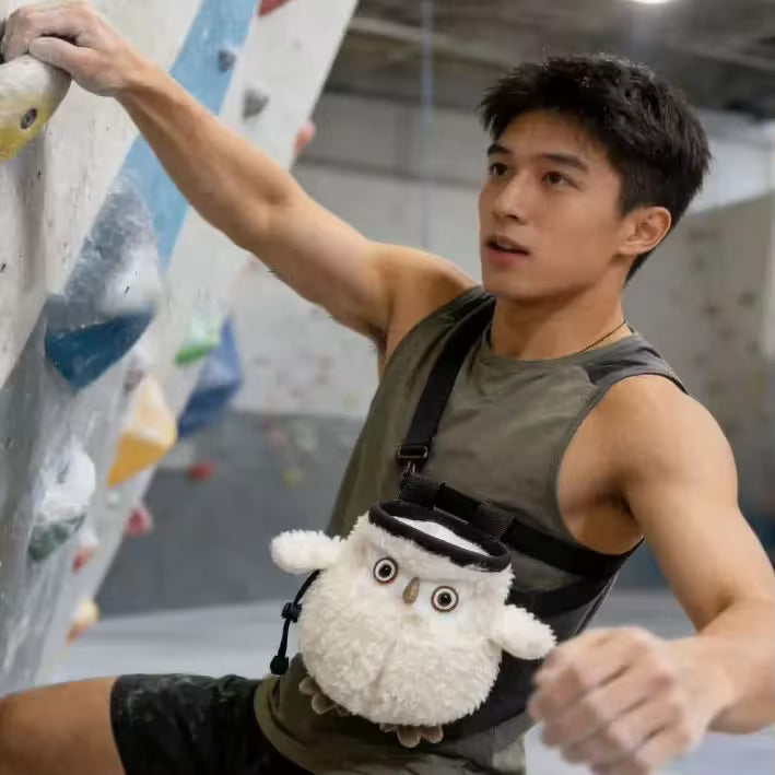 Cute Owl Chalk Bag Rock Climbing Equipment V1261-CUTEOWL001