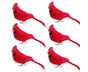 6/12Pcs Christmas Bird Clip Red Feather Artificial Birds-Red 1 V1263-JX-1005