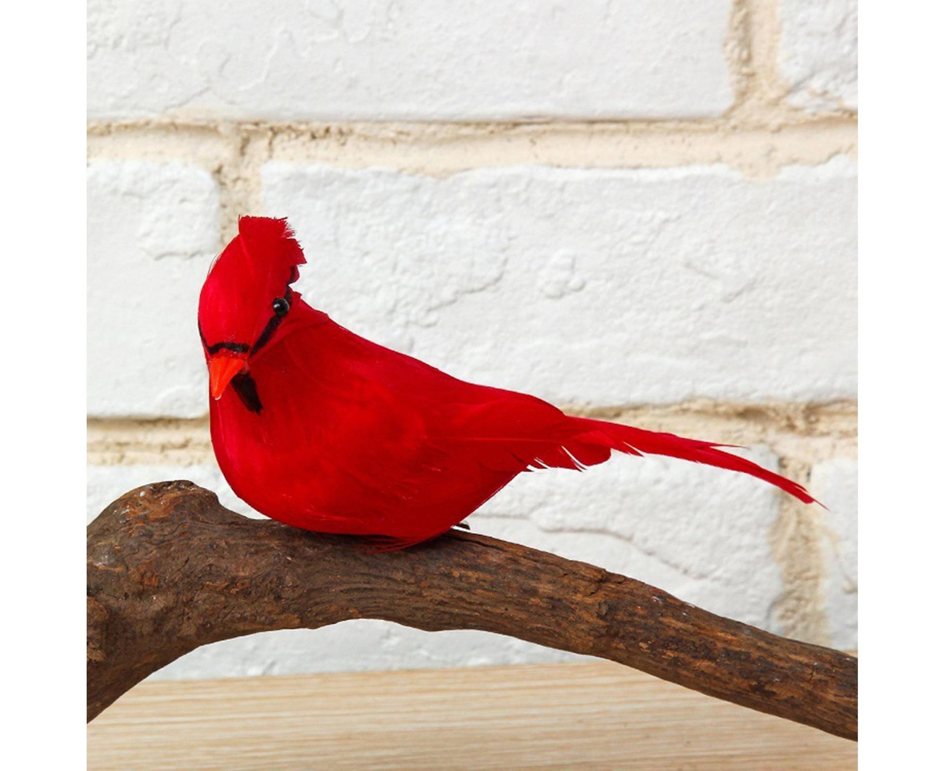 6/12Pcs Christmas Bird Clip Red Feather Artificial Birds-Red 1 V1263-JX-1005