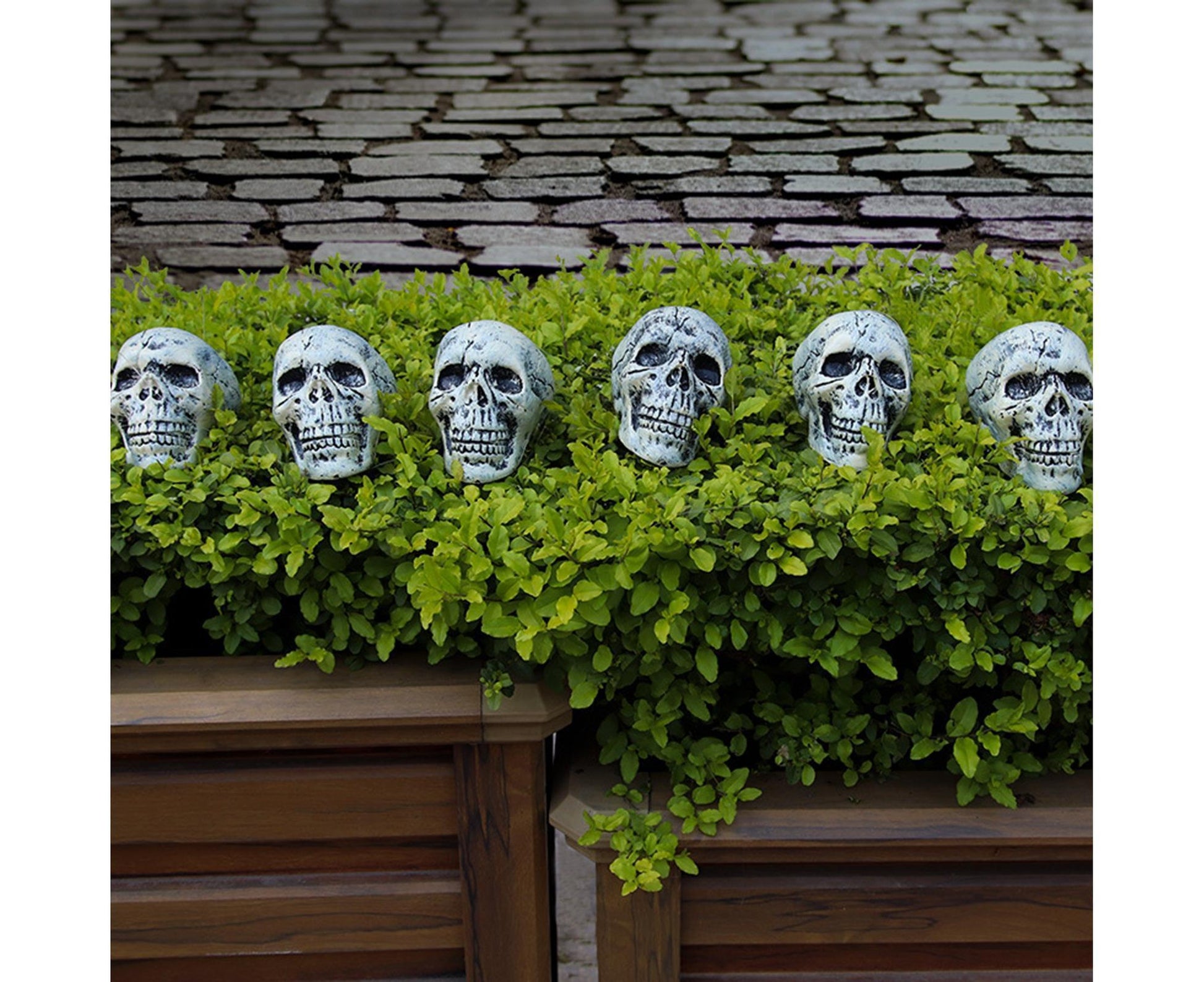 6 Pcs/Set Halloween Skull Ornament Artificial Realistic Increase Atmosphere Durable Clear Texture Skeleton V1263-JX-1018