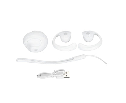 Language Translator Earhooks Bluetooth 5.3 Support 144 Languages Online Translation Wireless Earbuds Device V1263-JX-109