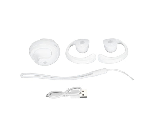 Language Translator Earhooks Bluetooth 5.3 Support 144 Languages Online Translation Wireless Earbuds Device V1263-JX-109