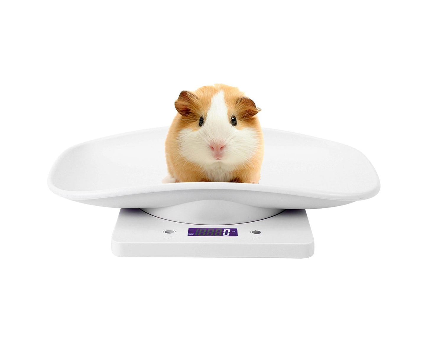 10kg/1g Digital Small Pet Weight Scale for Cats Dogs Measure Tool Electronic Kitchen Scale V1263-JX-1450