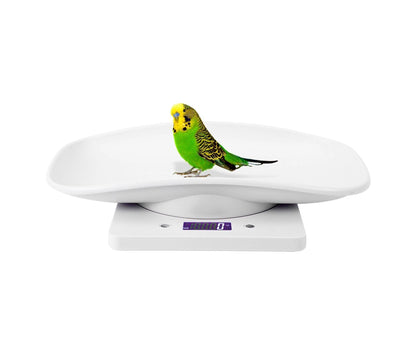 10kg/1g Digital Small Pet Weight Scale for Cats Dogs Measure Tool Electronic Kitchen Scale V1263-JX-1450